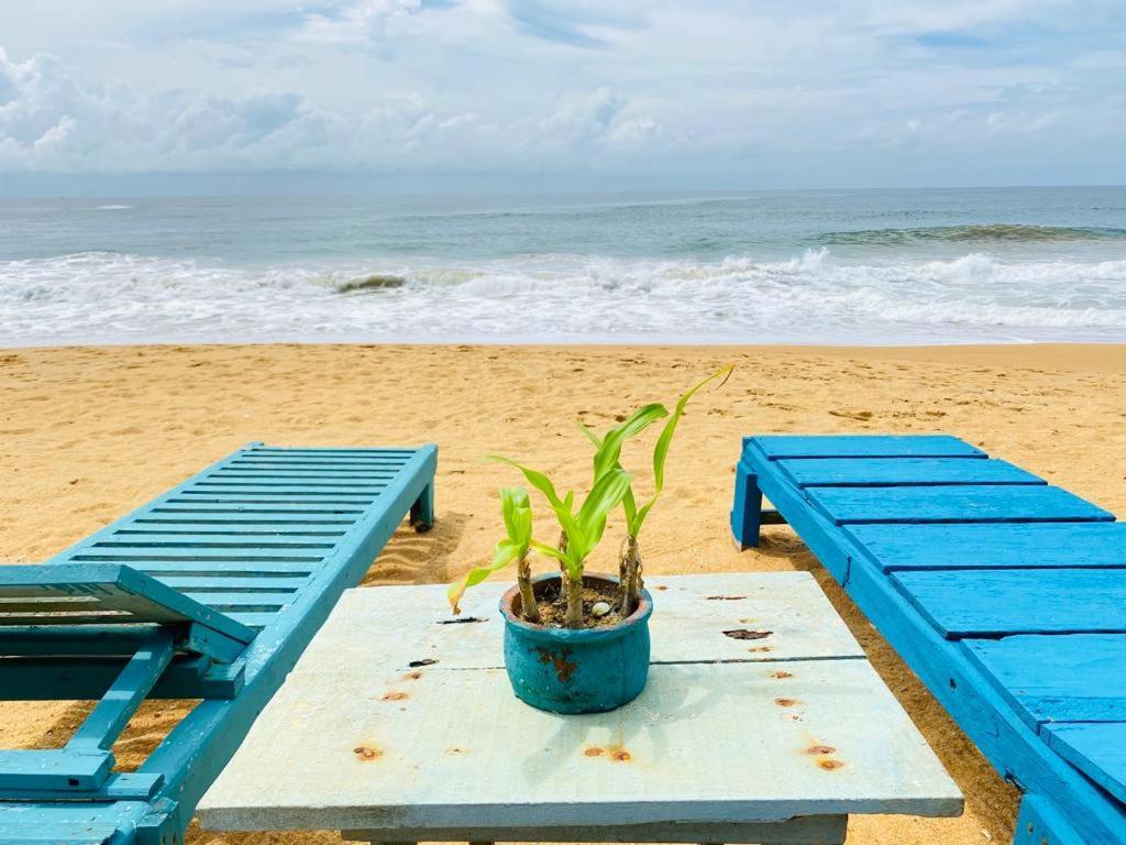 Ramya Ru Beach Home ガル エクステリア 写真